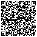 QR code with V-Line contacts