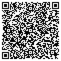QR code with Netlec contacts