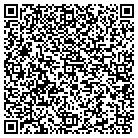 QR code with Plymouth Systems Inc contacts