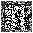 QR code with Big Mike's Auto Sales contacts