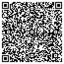 QR code with Chaneys Auto Sales contacts