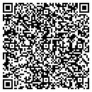 QR code with Cepheus Solutions Ltd contacts