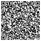 QR code with Blue Fire Properties LLC contacts