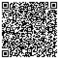 QR code with Infoteam contacts