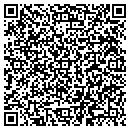 QR code with Punch Software LLC contacts