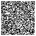 QR code with Salon contacts