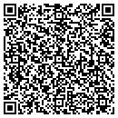 QR code with Pristine Clean LLC contacts
