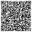 QR code with Carters Autoplex contacts