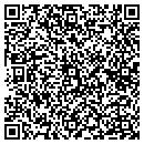 QR code with Practical Factors contacts