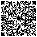 QR code with Blr Properties LLC contacts