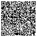 QR code with B Clean contacts