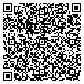 QR code with Designli contacts