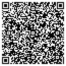 QR code with Preferred Motors contacts