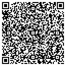QR code with Cyber Vines LLC contacts
