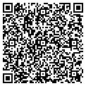 QR code with Q Tile contacts