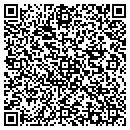 QR code with Carter Ceramic Tile contacts
