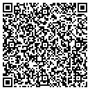 QR code with Pulsar Web Works Inc contacts