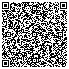 QR code with Pulse Logic Systems LLC contacts
