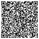 QR code with Public Record Service contacts