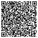 QR code with V Star contacts