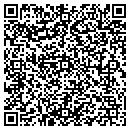 QR code with Celerity Group contacts