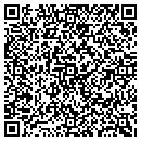 QR code with Dsm Design Group LLC contacts