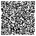 QR code with Viscom contacts