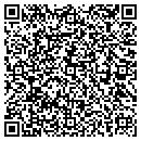 QR code with Babyberry Studios LLC contacts