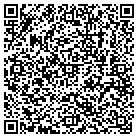 QR code with Pulsar Development Inc contacts