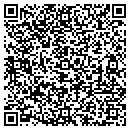 QR code with Public Access Channel 8 contacts