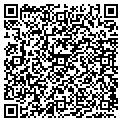 QR code with Vidd contacts