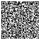 QR code with Public Access Channel contacts
