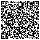 QR code with Cognetic Technologies contacts
