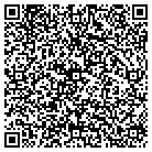 QR code with Cybertek Solutions Inc contacts