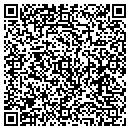 QR code with Pullano Associates contacts