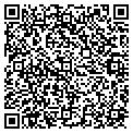 QR code with Modis contacts