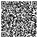 QR code with Modis contacts