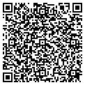QR code with Modis contacts
