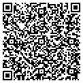 QR code with Mosaics contacts
