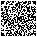 QR code with Pt Software Solutions contacts