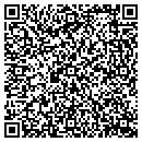 QR code with Cw System Solutions contacts