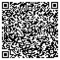 QR code with Modis contacts