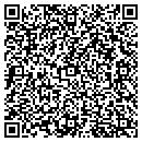 QR code with Customer Discovery LLC contacts