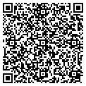 QR code with Modis contacts