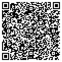 QR code with Megasun contacts