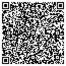 QR code with Project Works contacts