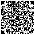 QR code with Modis contacts