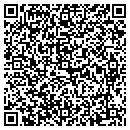 QR code with Bkr Interests Inc contacts