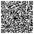 QR code with Levitz contacts
