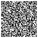 QR code with Bd Software Services contacts